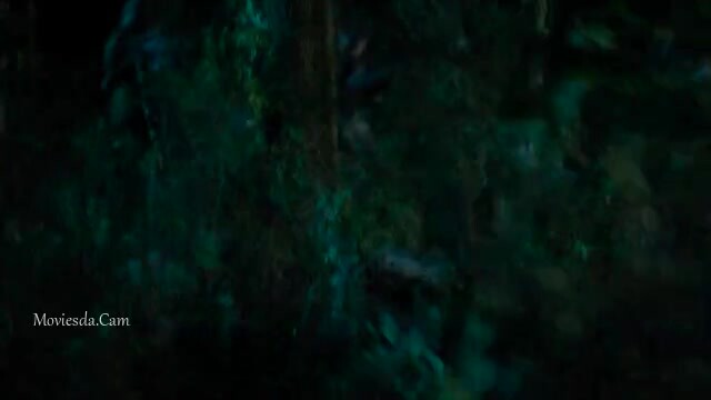 The Surgical Strike HD Sample.mp4