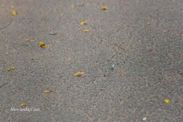 Utraan 2020 Sample.mp4