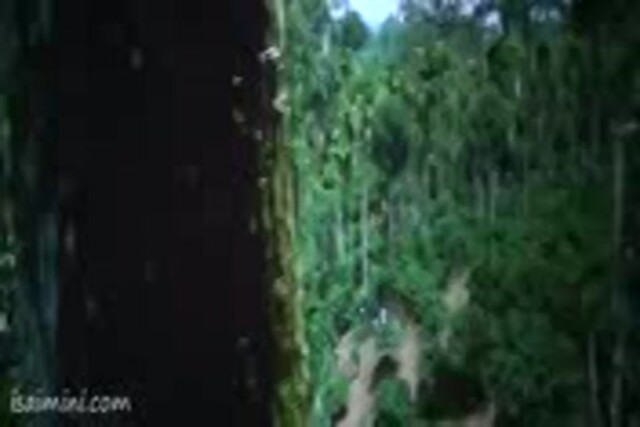 Jippa Jimikki Part-2.3gp