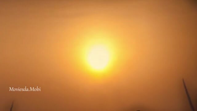Vadhandhi 2022 HD.mp4