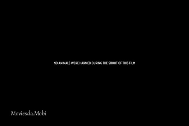 Mr and Miss 2022.mp4