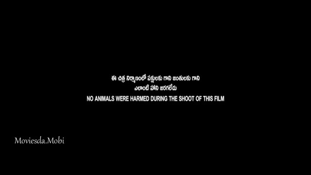 Game On 2024 HD.mp4