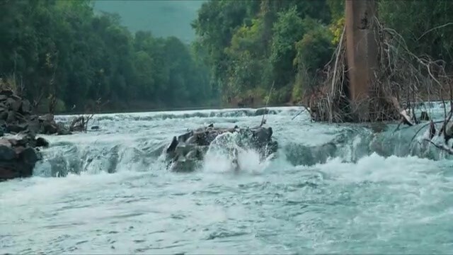 Pattam 2024 HD Sample.mp4