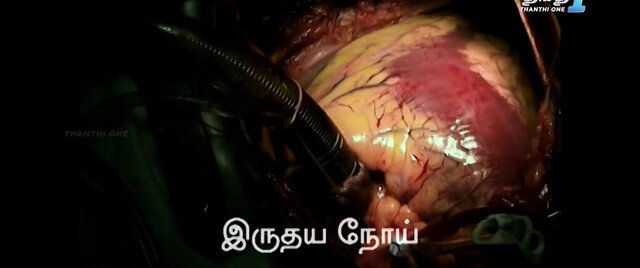 Moviesda.Mobi - Naan Dan Jhansi 2024 Original 720p HD.mp4
