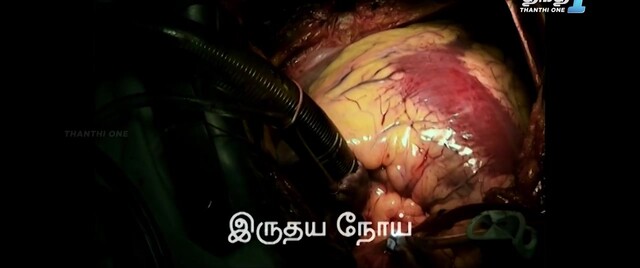 Moviesda.Mobi - Artist 2024 Original 720p HD.mp4