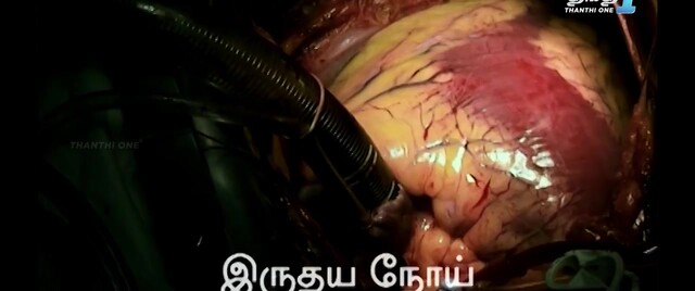 Moviesda.Mobi - True 2024 Original 720p HD.mp4