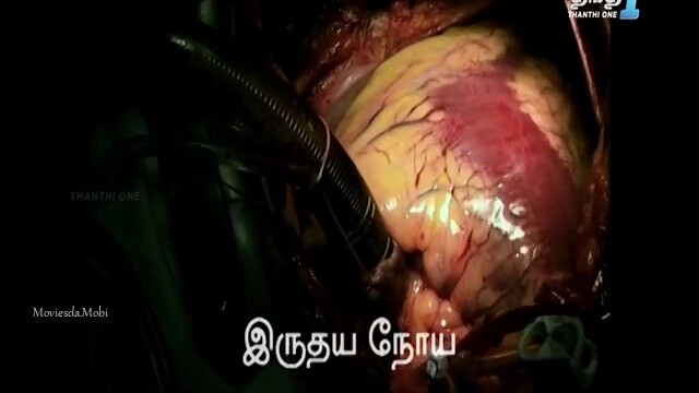 Devayaanam 2024 HD.mp4