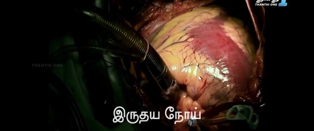 Moviesda.Mobi - Go Sulo 2024 Original 720p HD.mp4