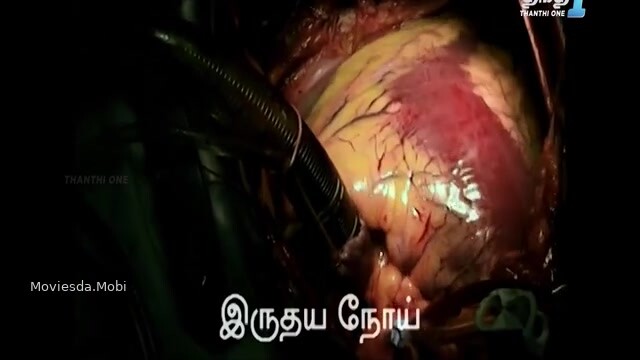 Bayamariyan 2024 360p HD.mp4