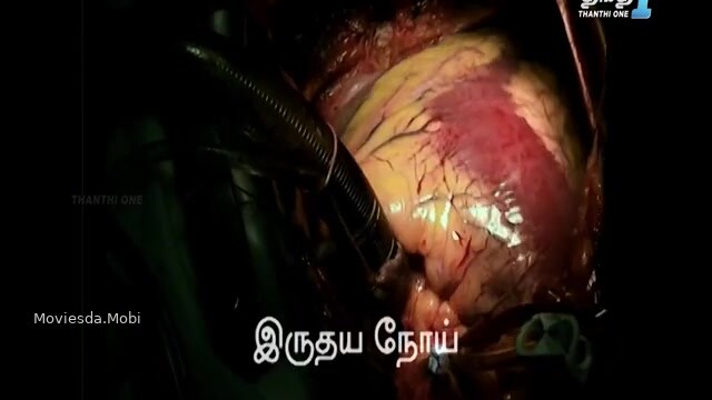 Varadha 2024 360p HD.mp4