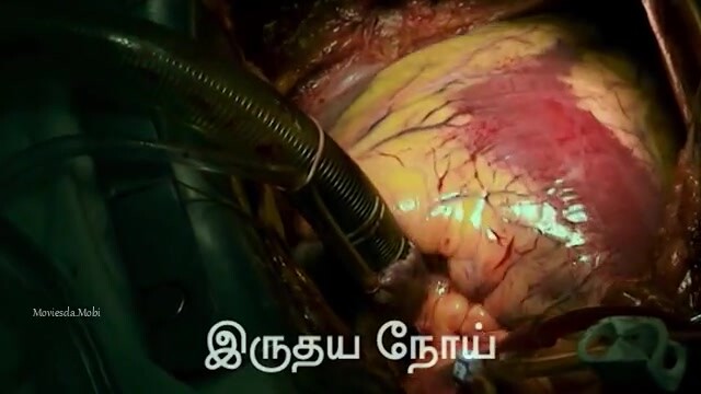 Ingu Mirugangal Vaazhum Idam 2024 Original 360p HD.mp4