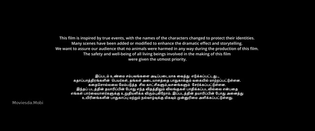 Neela Nira Sooriyan 2025 Original 720p HD.mp4