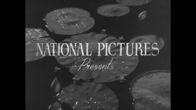 Moviesda.Mobi - Parasakthi 1952 Original 720p HD.mp4