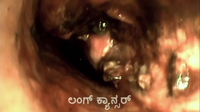 Moviesda.Mobi - Vritta 2025 Original 1080p HD.mp4